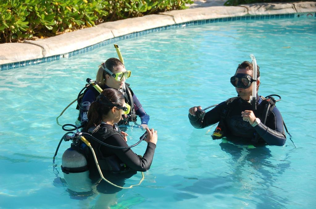 Castaways Cayman Beach Resort Grand Cayman Eksteriør billede